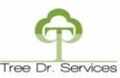 Tree Doctor Services